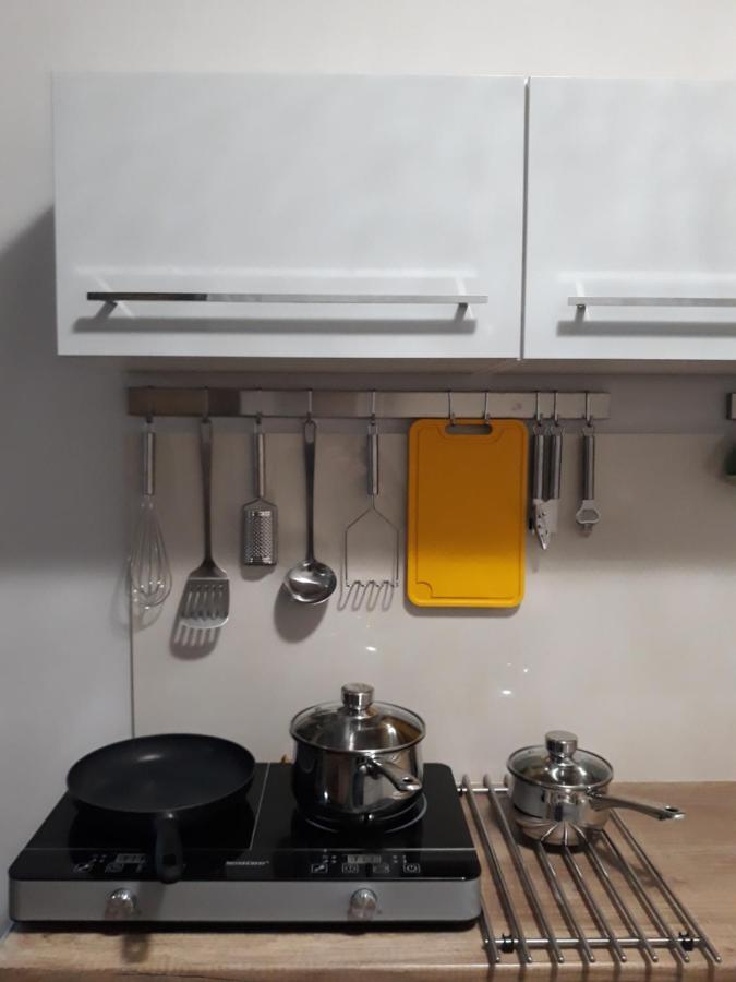 Apartament Wika Apartment Wieliczka Bagian luar foto