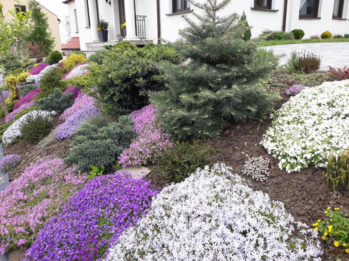 Apartament Wika Apartment Wieliczka Bagian luar foto